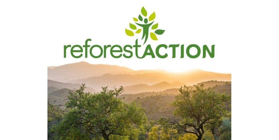 Comment fonctionne le Projet reforest'Action ? 